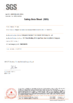 China Dongguan Youngteam New Material Technology Co., Ltd. zertifizierungen
